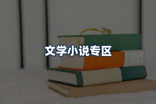 文学小说PDF展示